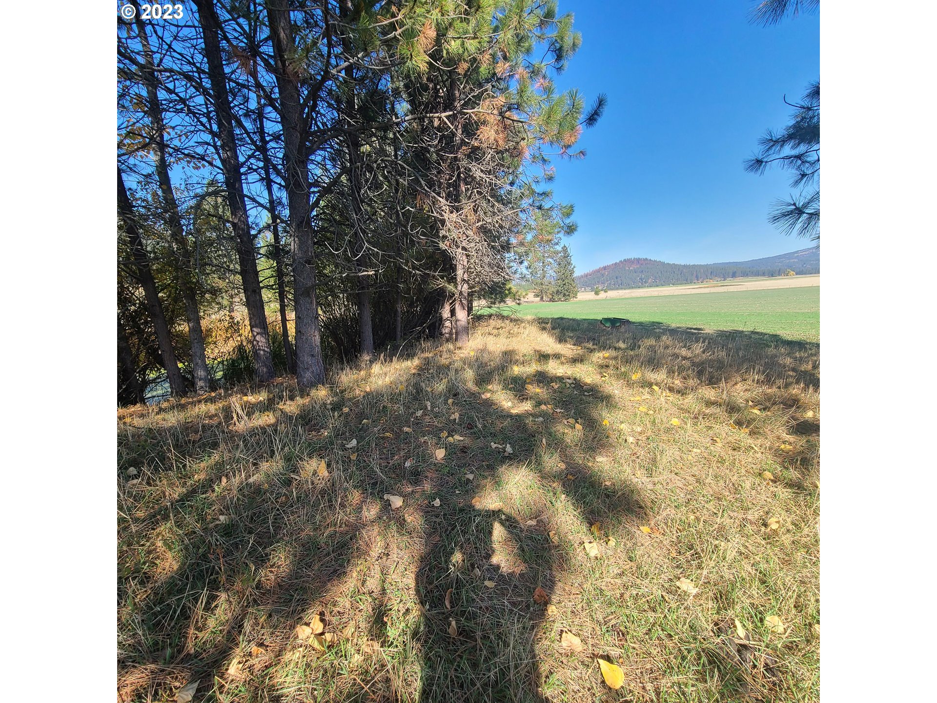 70774 Middle Road Elgin, OR 97827 - Photo 34 of 48