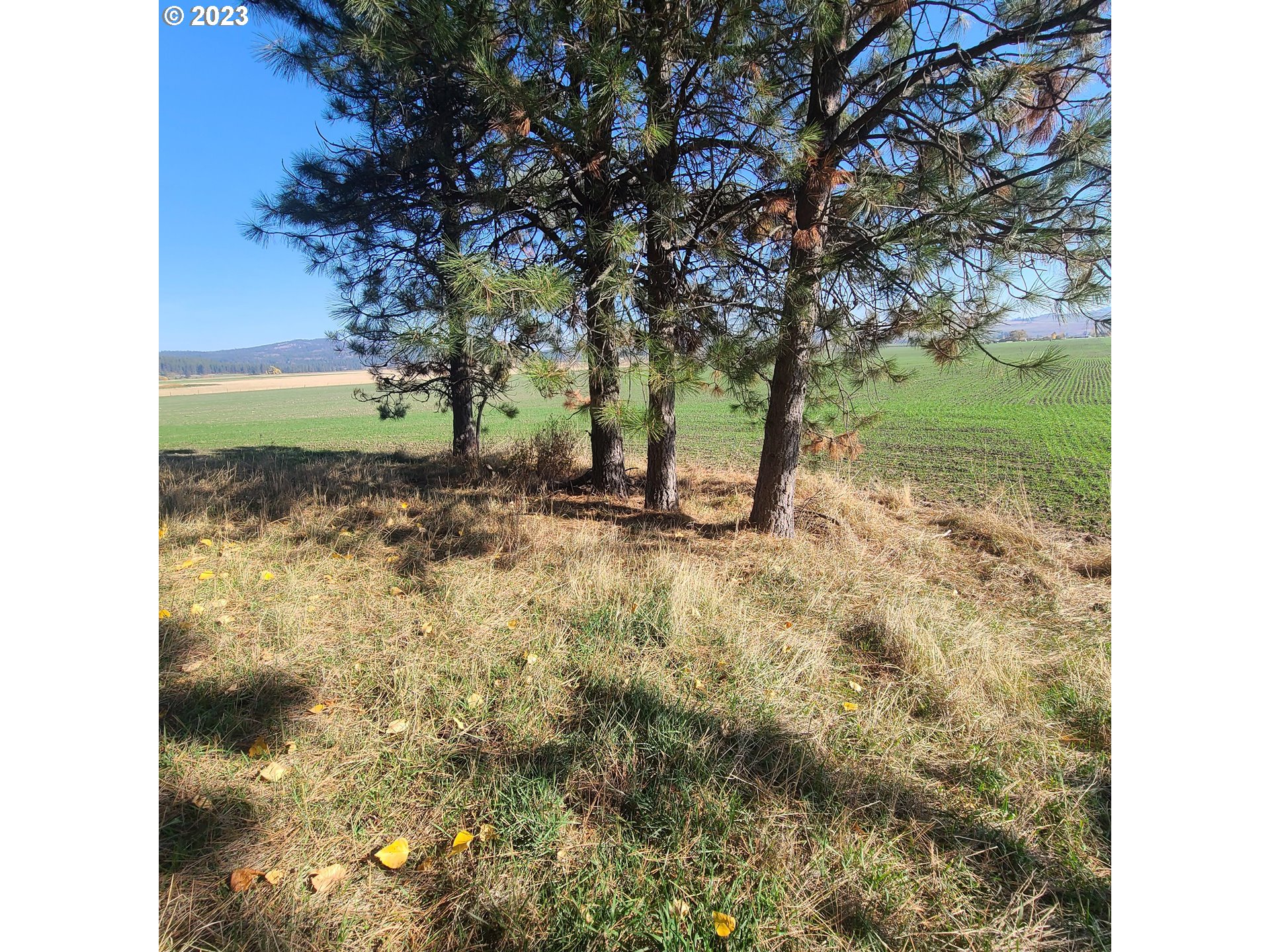 70774 Middle Road Elgin, OR 97827 - Photo 35 of 48