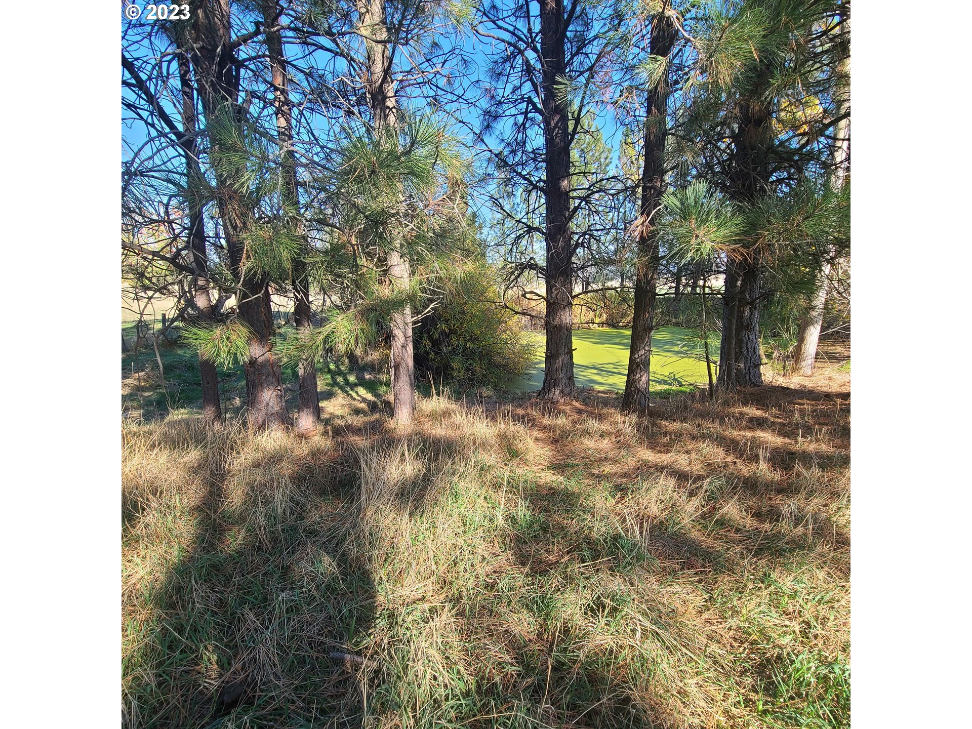 70774 Middle Road Elgin, OR 97827 - Photo 36 of 48