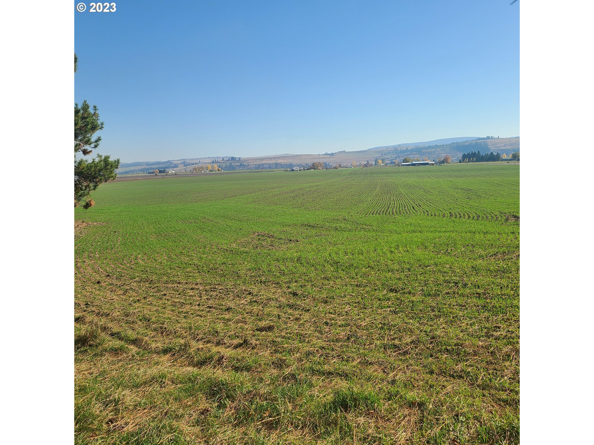 70774 Middle Road Elgin, OR 97827 - Photo 37 of 48