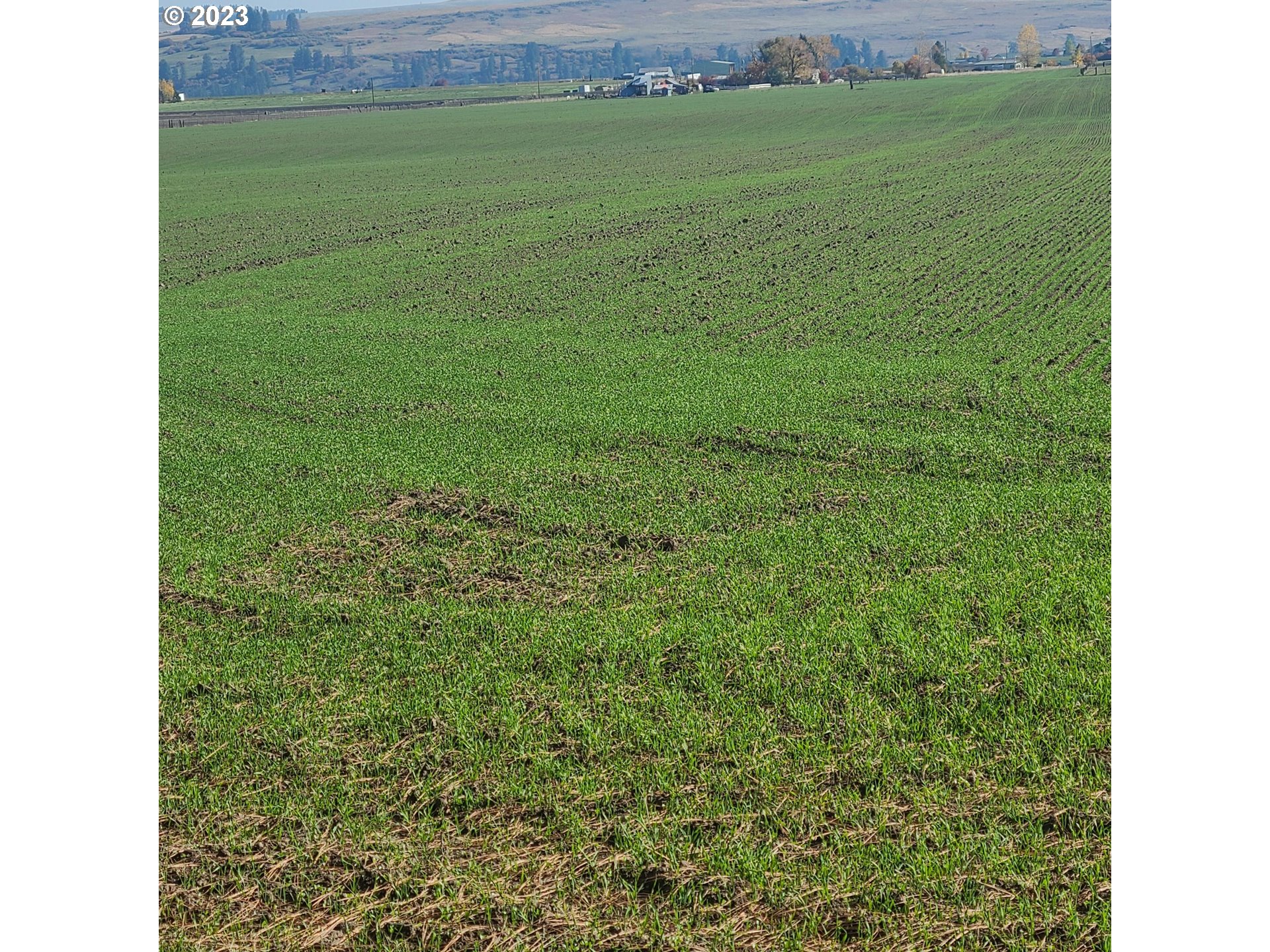 70774 Middle Road Elgin, OR 97827 - Photo 38 of 48