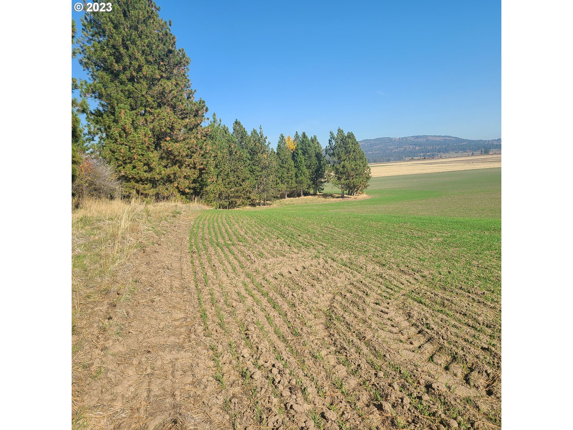 70774 Middle Road Elgin, OR 97827 - Photo 39 of 48