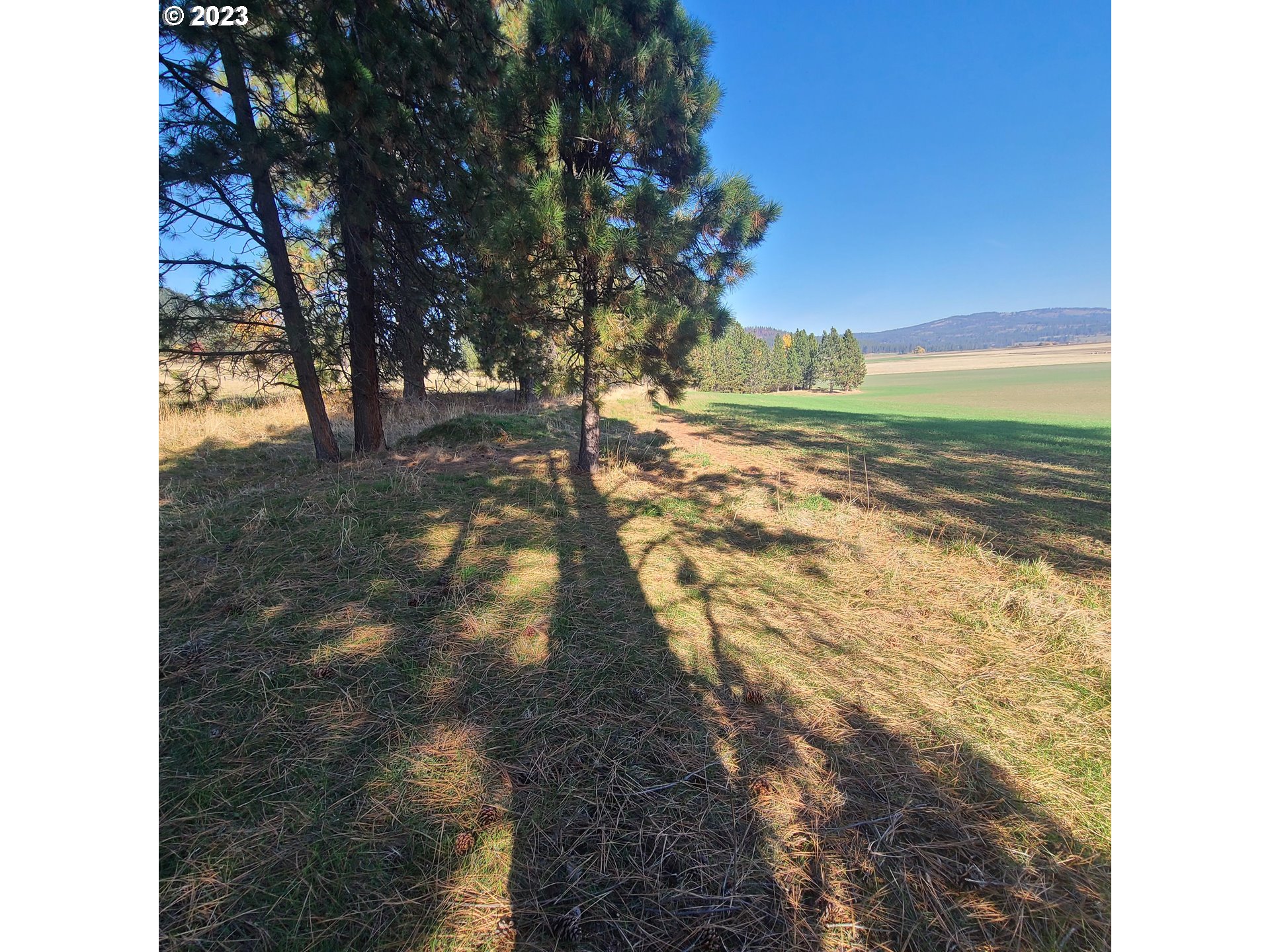 70774 Middle Road Elgin, OR 97827 - Photo 40 of 48