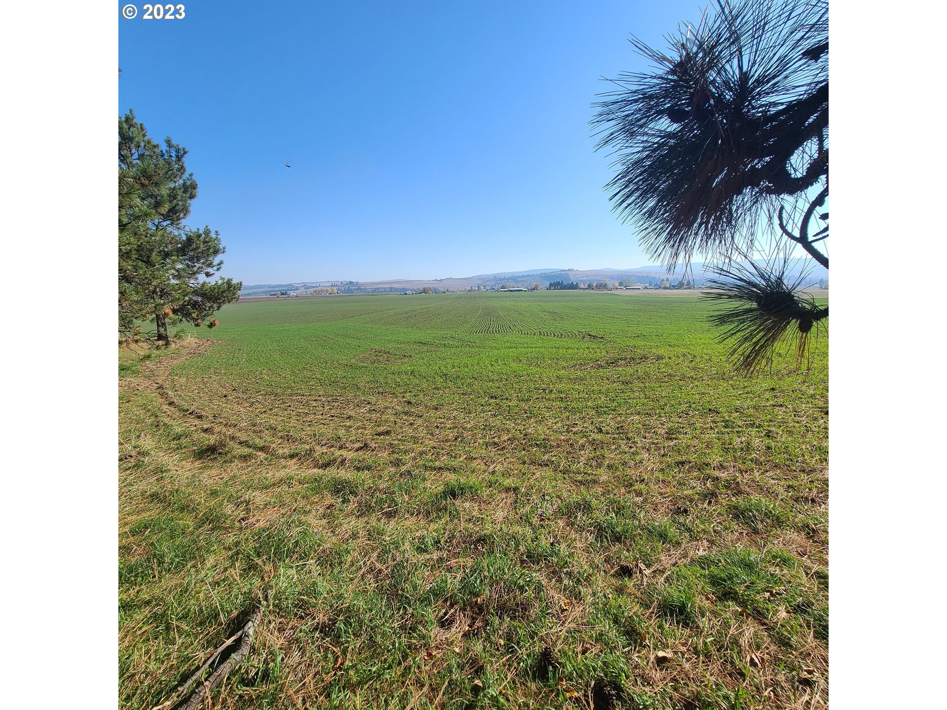 70774 Middle Road Elgin, OR 97827 - Photo 4 of 48