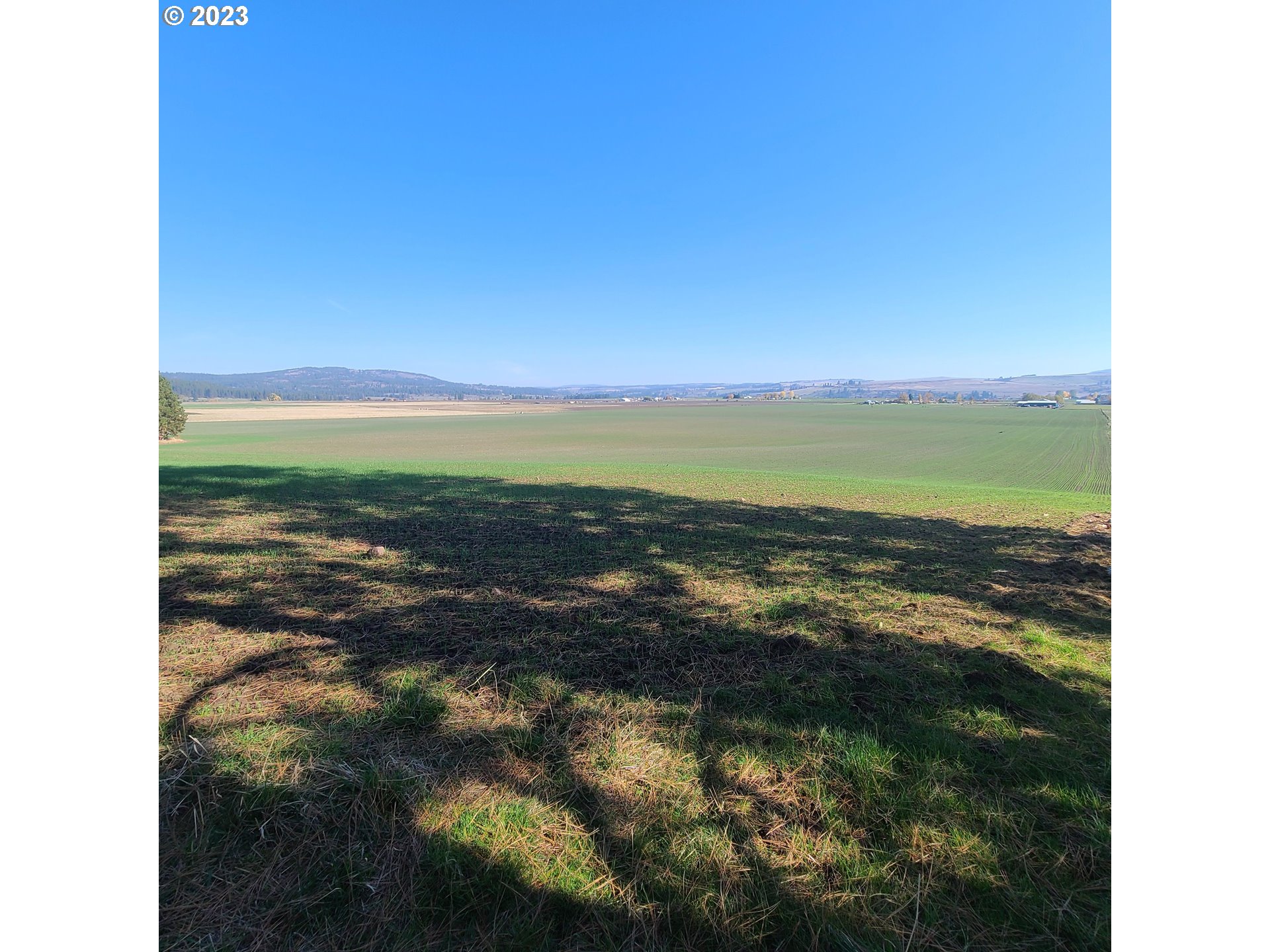 70774 Middle Road Elgin, OR 97827 - Photo 41 of 48