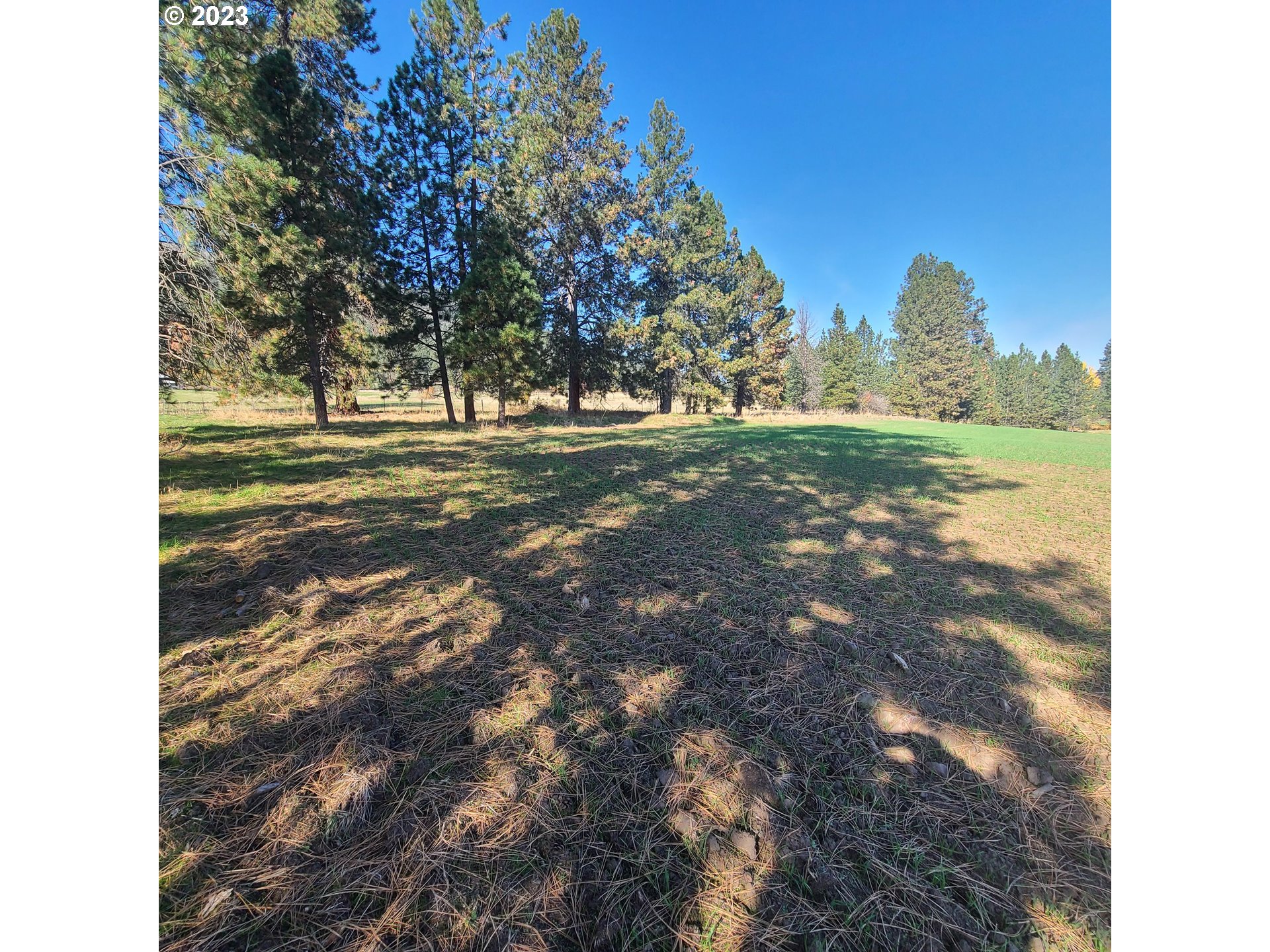 70774 Middle Road Elgin, OR 97827 - Photo 43 of 48