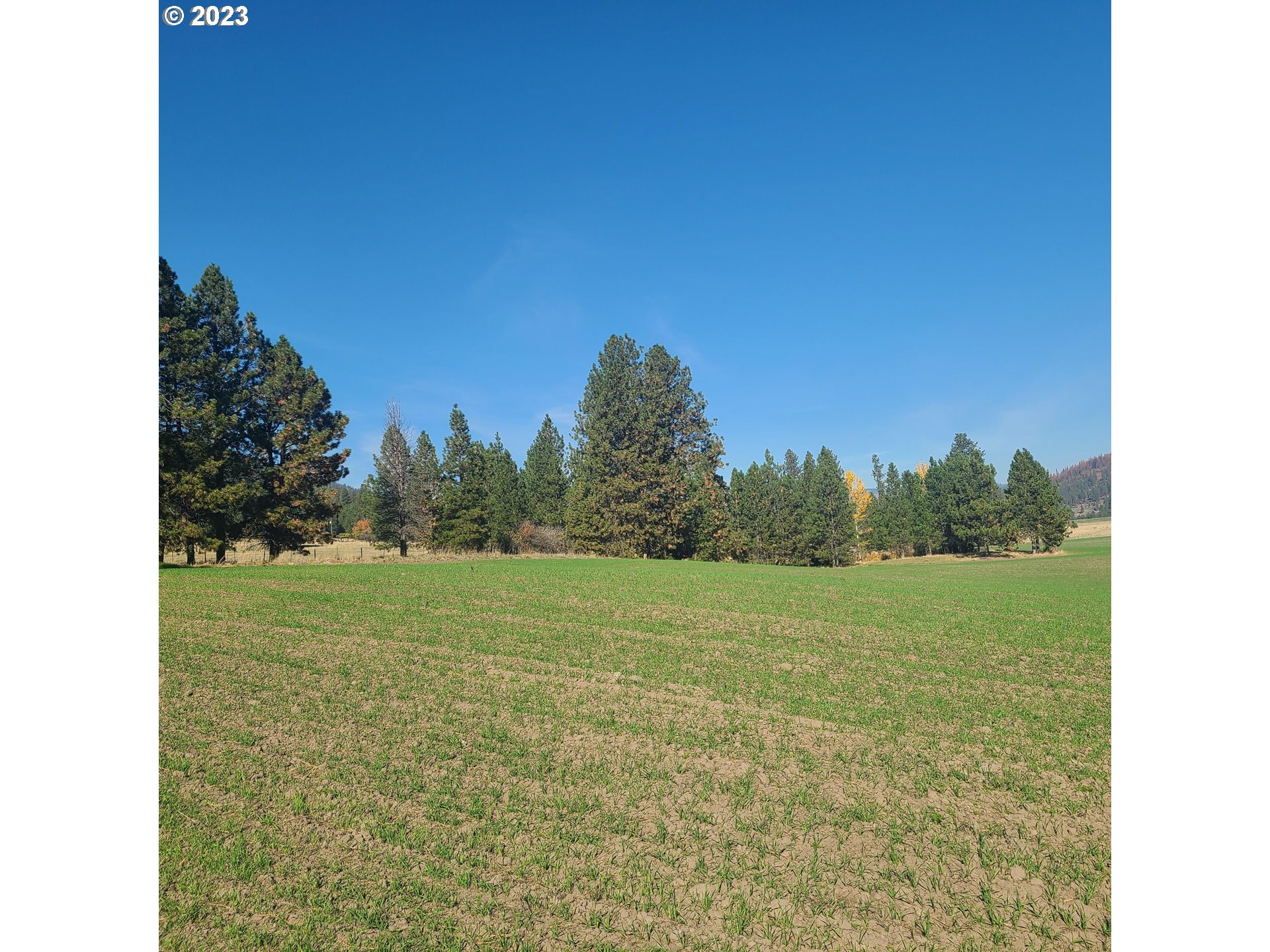 70774 Middle Road Elgin, OR 97827 - Photo 45 of 48