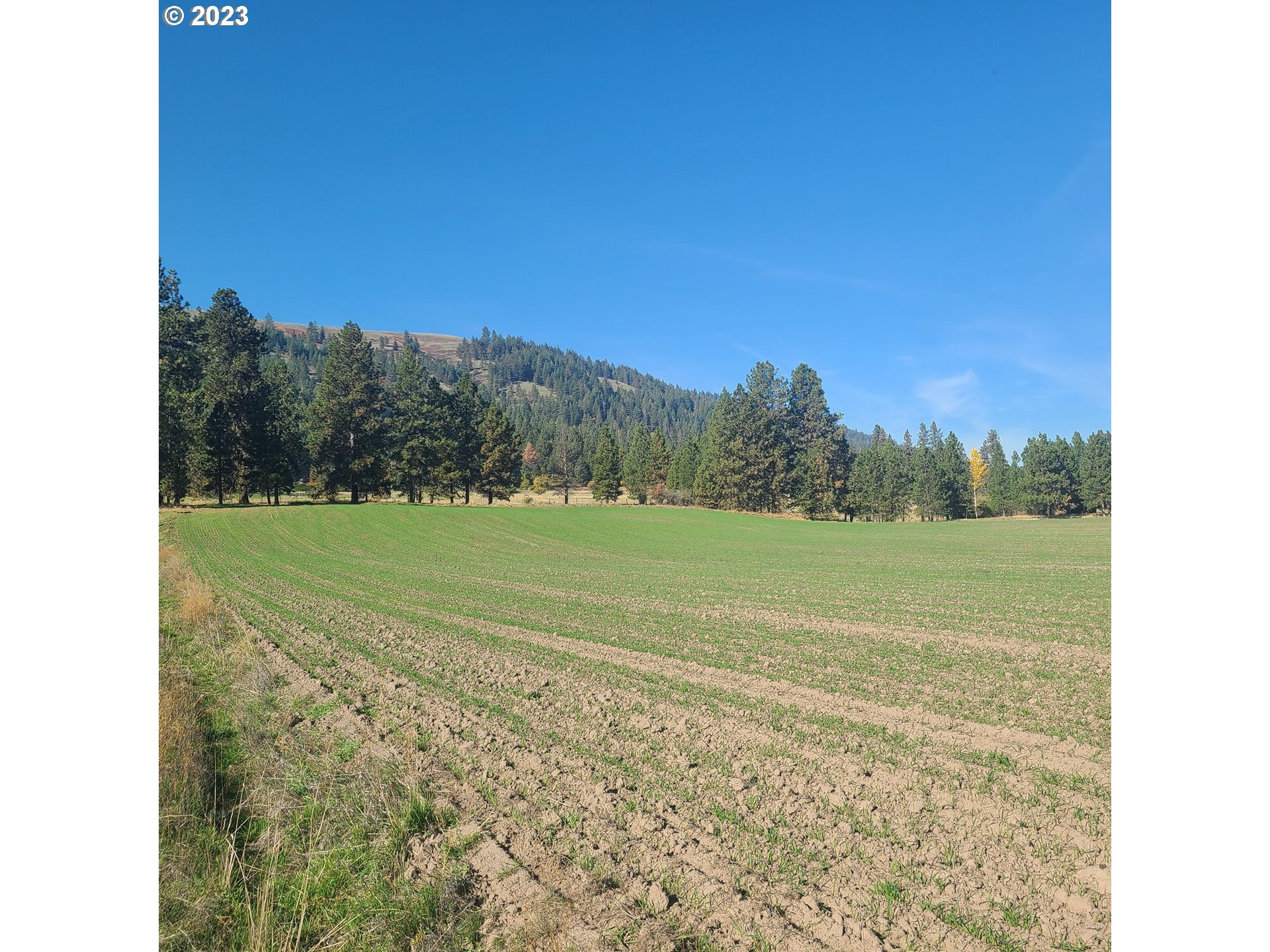 70774 Middle Road Elgin, OR 97827 - Photo 46 of 48