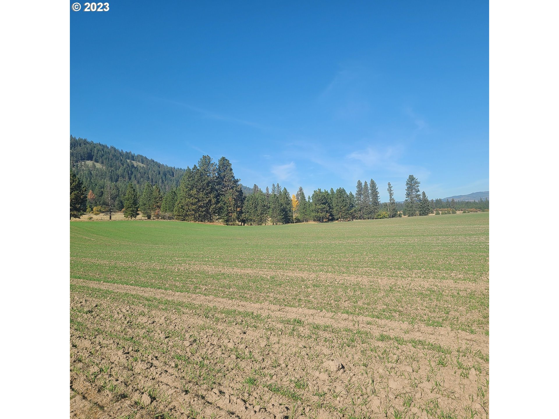 70774 Middle Road Elgin, OR 97827 - Photo 47 of 48