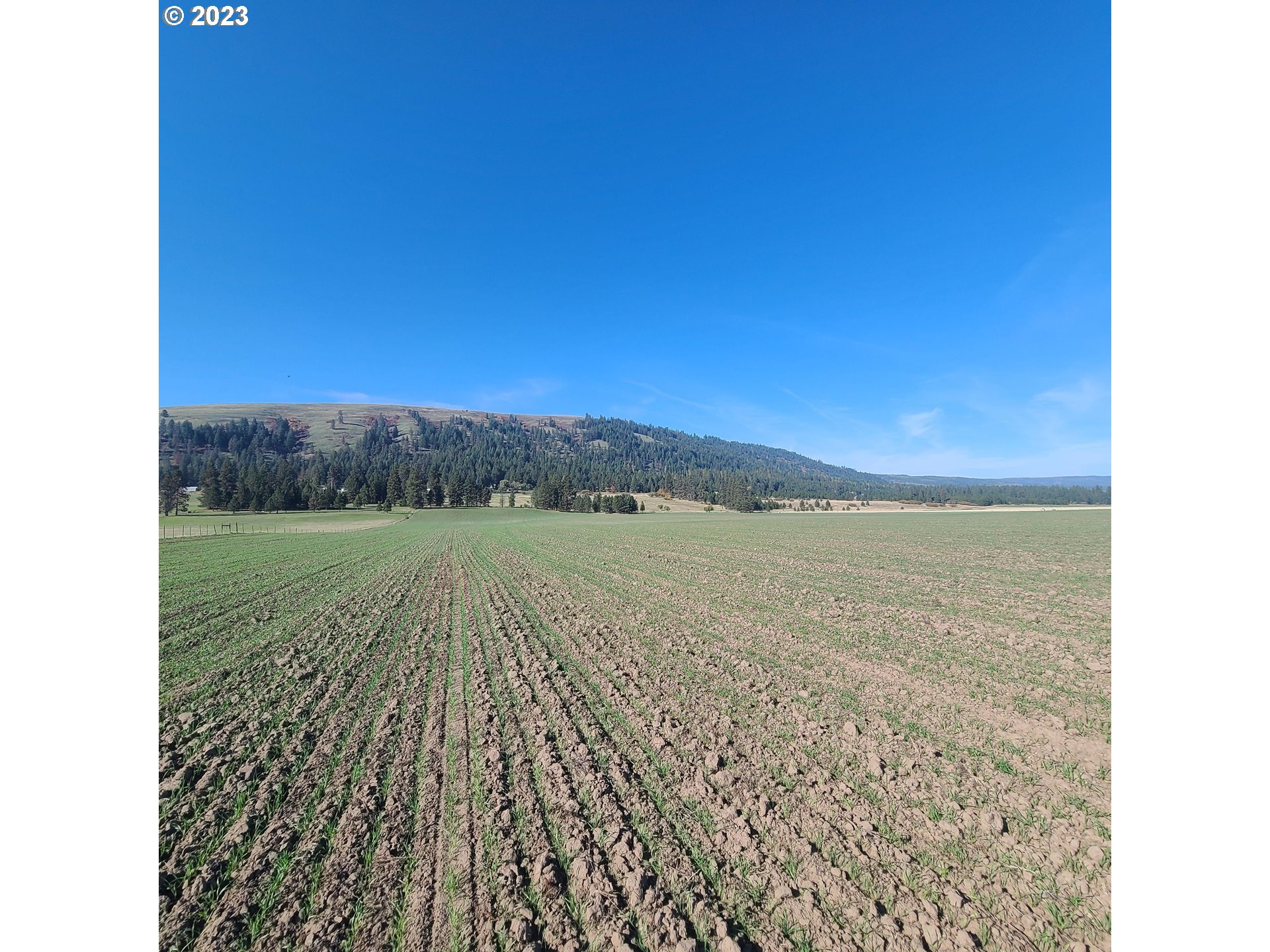 70774 Middle Road Elgin, OR 97827 - Photo 48 of 48