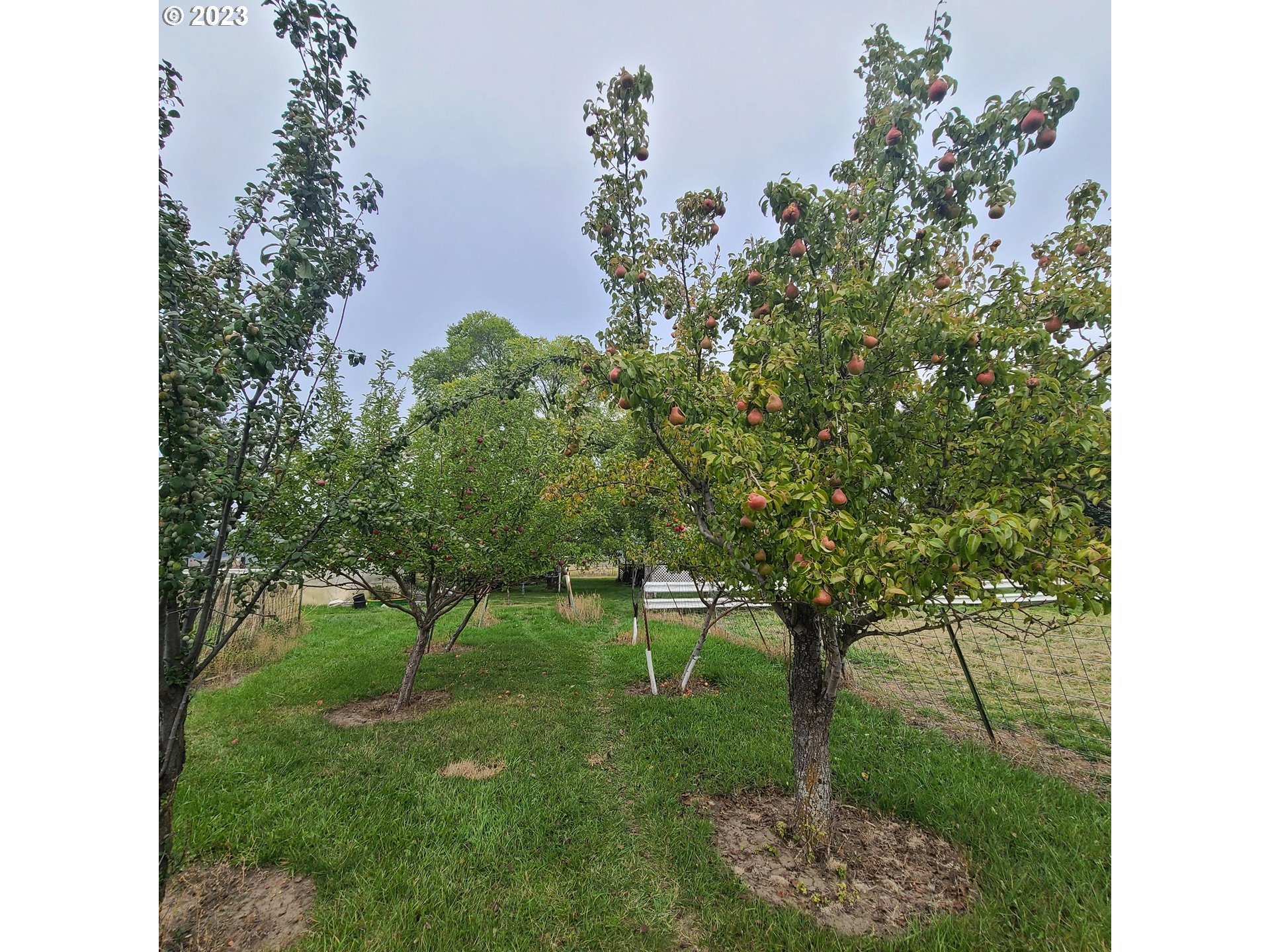 70774 Middle Road Elgin, OR 97827 - Photo 5 of 48