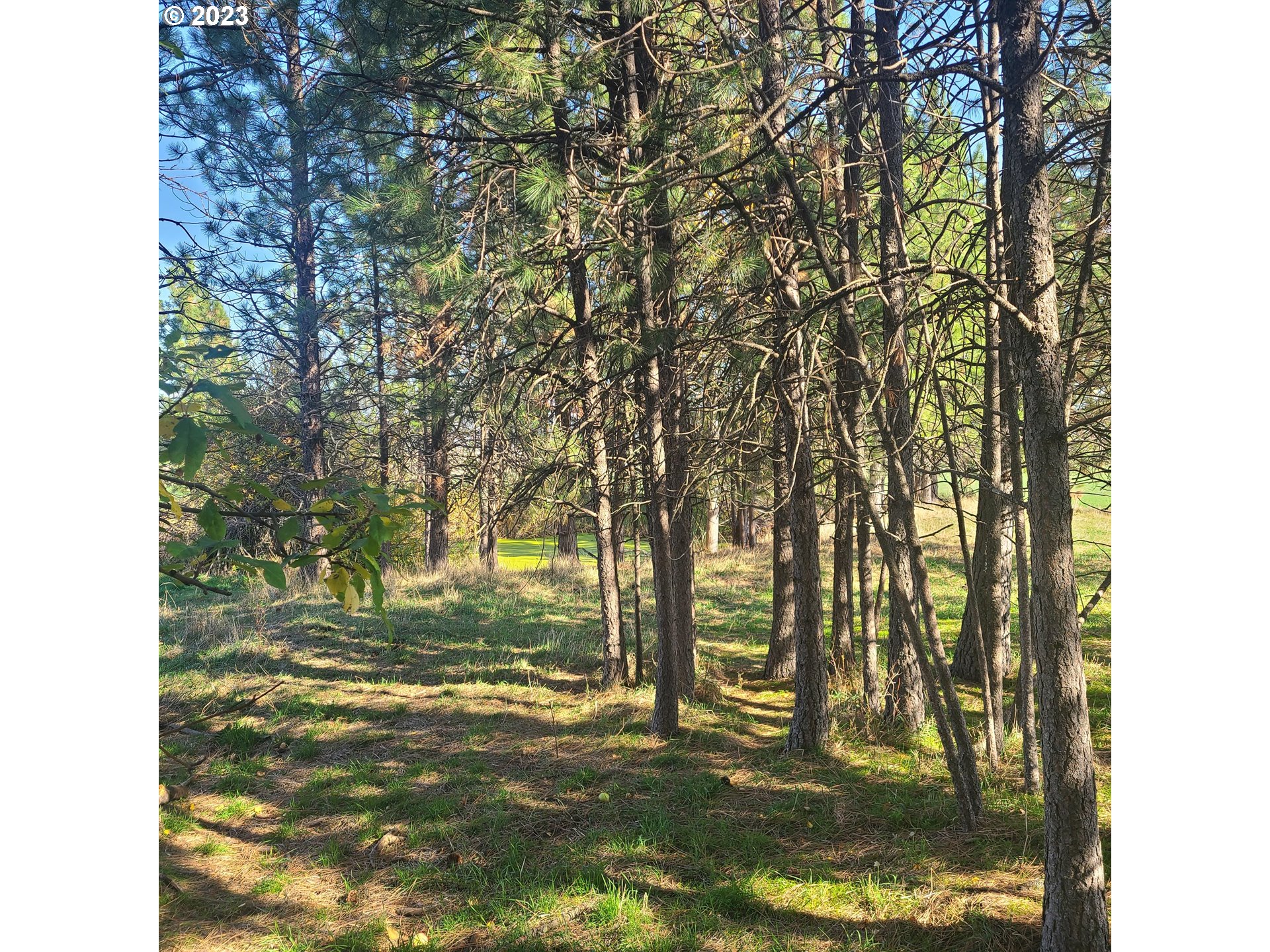 70774 Middle Road Elgin, OR 97827 - Photo 8 of 48