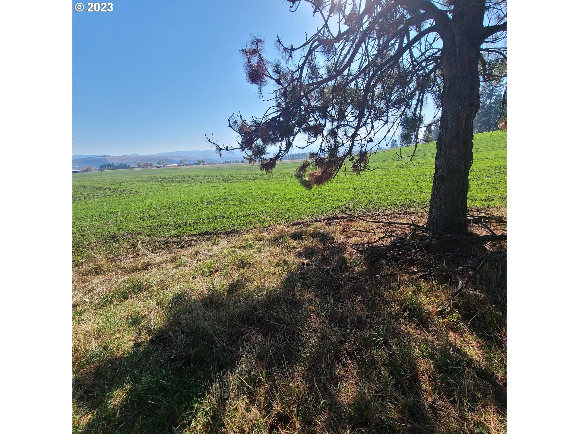 70774 Middle Road Elgin, OR 97827 - Photo 9 of 48