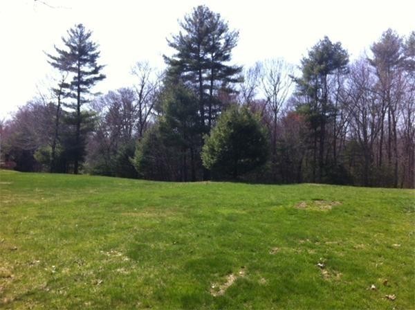 28 Turnpike Road Ipswich, MA 01938 - Photo 25 of 28 a view of a yard with a tree