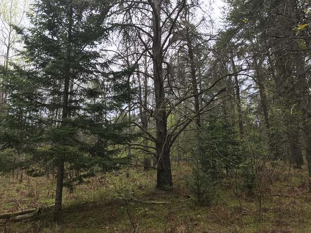 25-acres River Road Eagle River, WI 54521 - Photo 10 of 10 Gallery Image 10