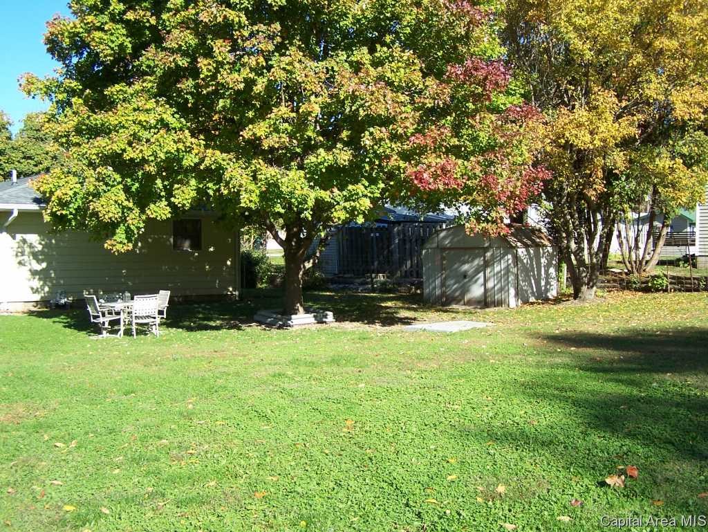 321 East Jackson Street Virginia, IL 62691 - Photo 3 of 18
