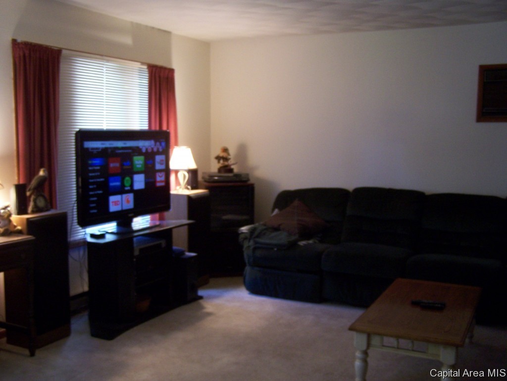 321 East Jackson Street Virginia, IL 62691 - Photo 10 of 18