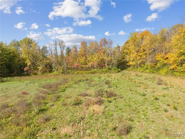 $35,500 | 2412 Ira Station Road, Ira, NY 13033