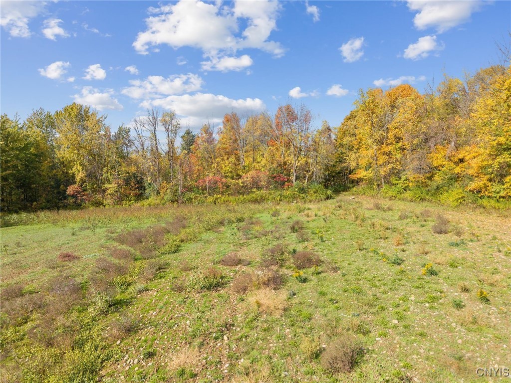 2412 Ira Station Road Ira, NY 13033 - Photo 11 of 13
