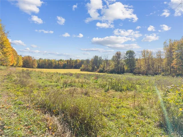 $35,500 | 2412 Ira Station Road, Ira, NY 13033