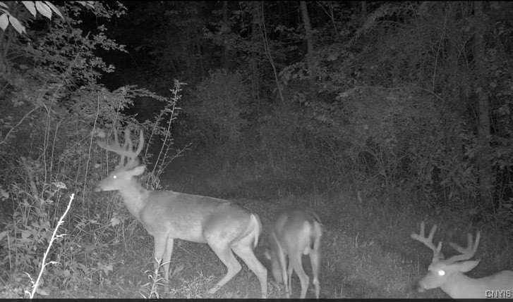 2412 Ira Station Road Ira, NY 13033 - Photo 13 of 13