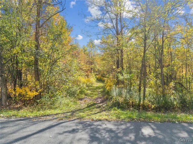 $35,500 | 2412 Ira Station Road, Ira, NY 13033