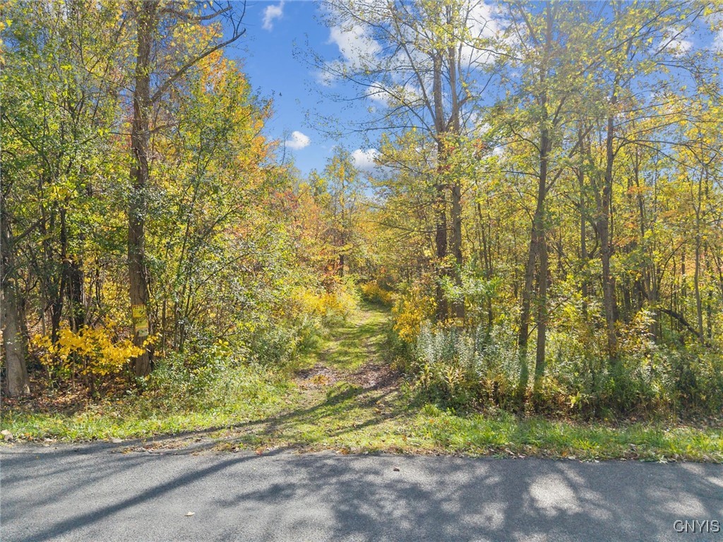 2412 Ira Station Road Ira, NY 13033 - Photo 2 of 13