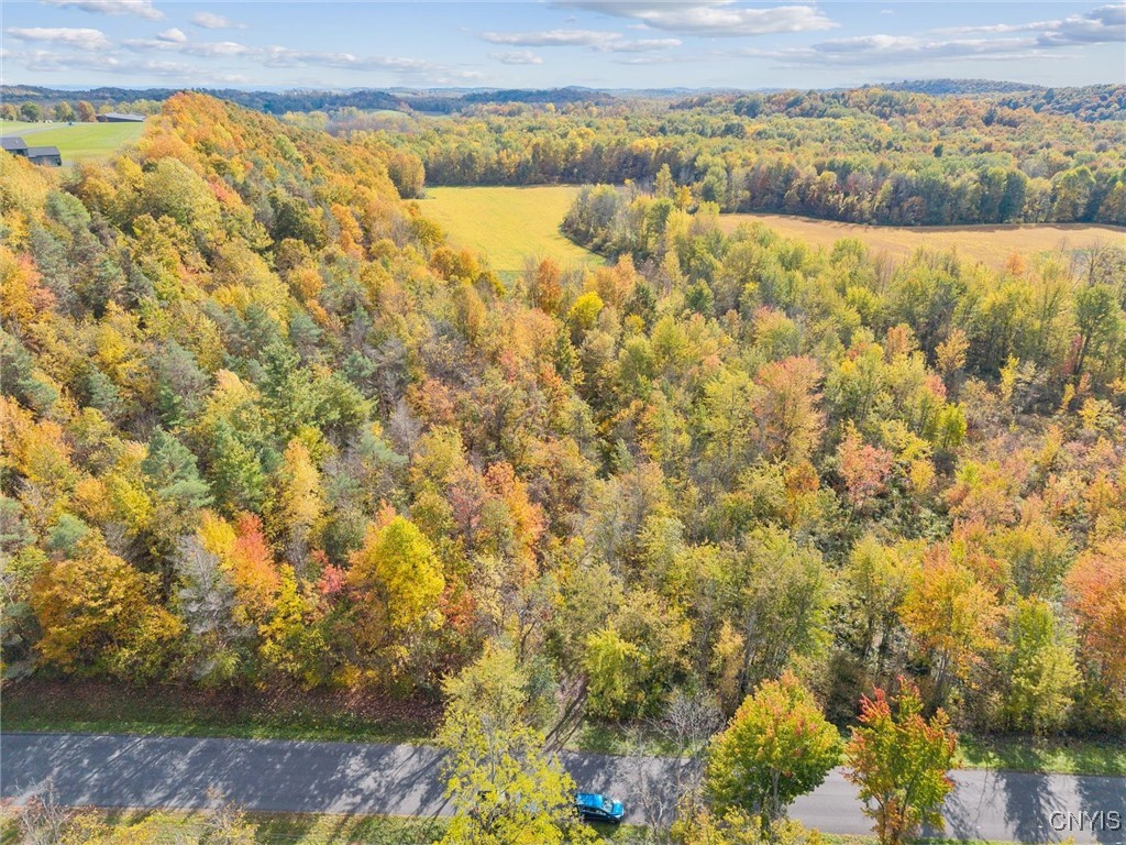 2412 Ira Station Road Ira, NY 13033 - Photo 3 of 13