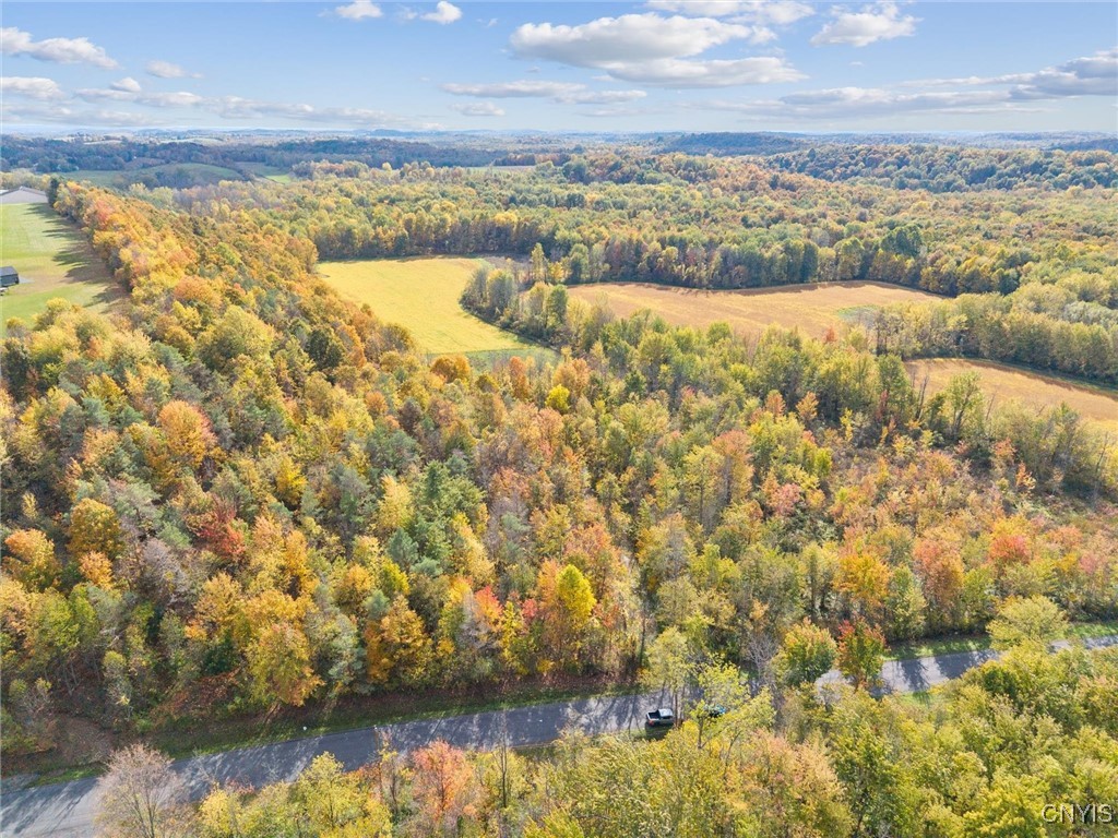 2412 Ira Station Road Ira, NY 13033 - Photo 4 of 13