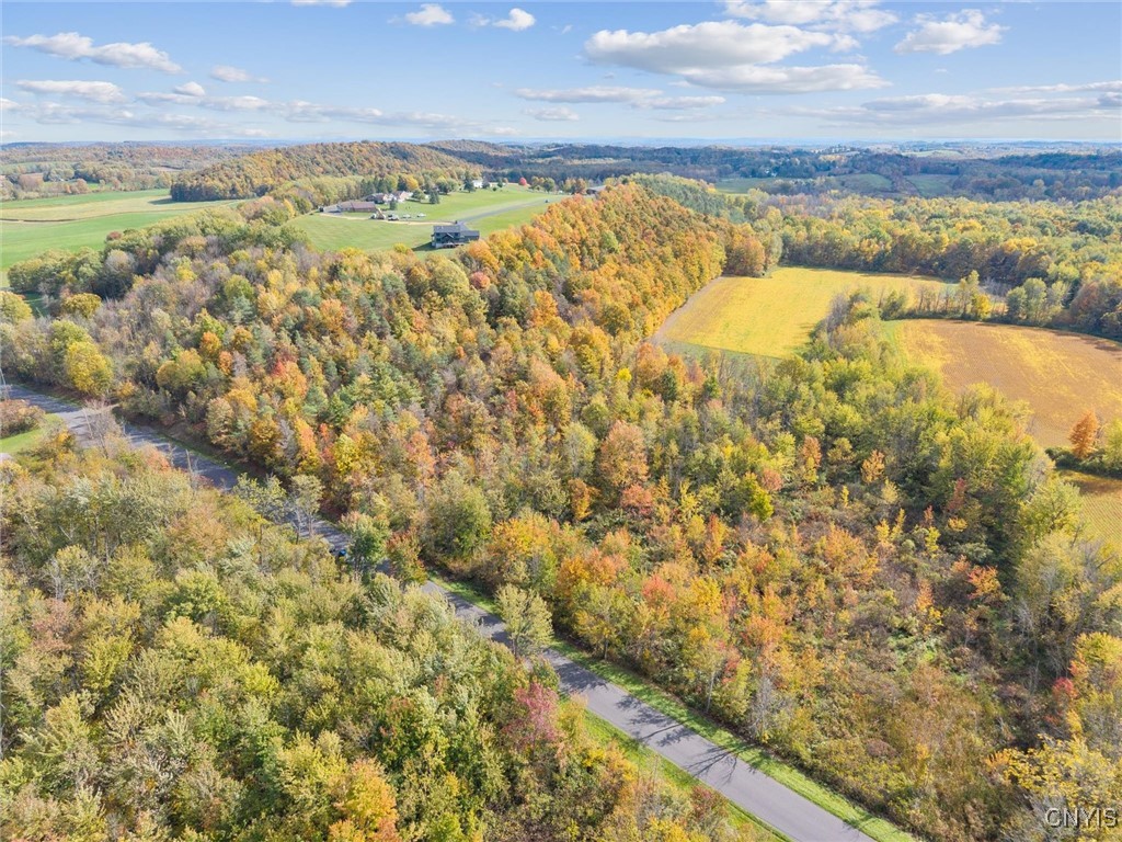 2412 Ira Station Road Ira, NY 13033 - Photo 5 of 13