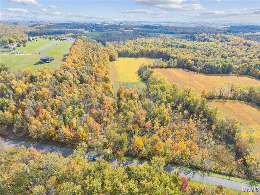 2412 Ira Station Road Ira, NY 13033 - Photo 6 of 13