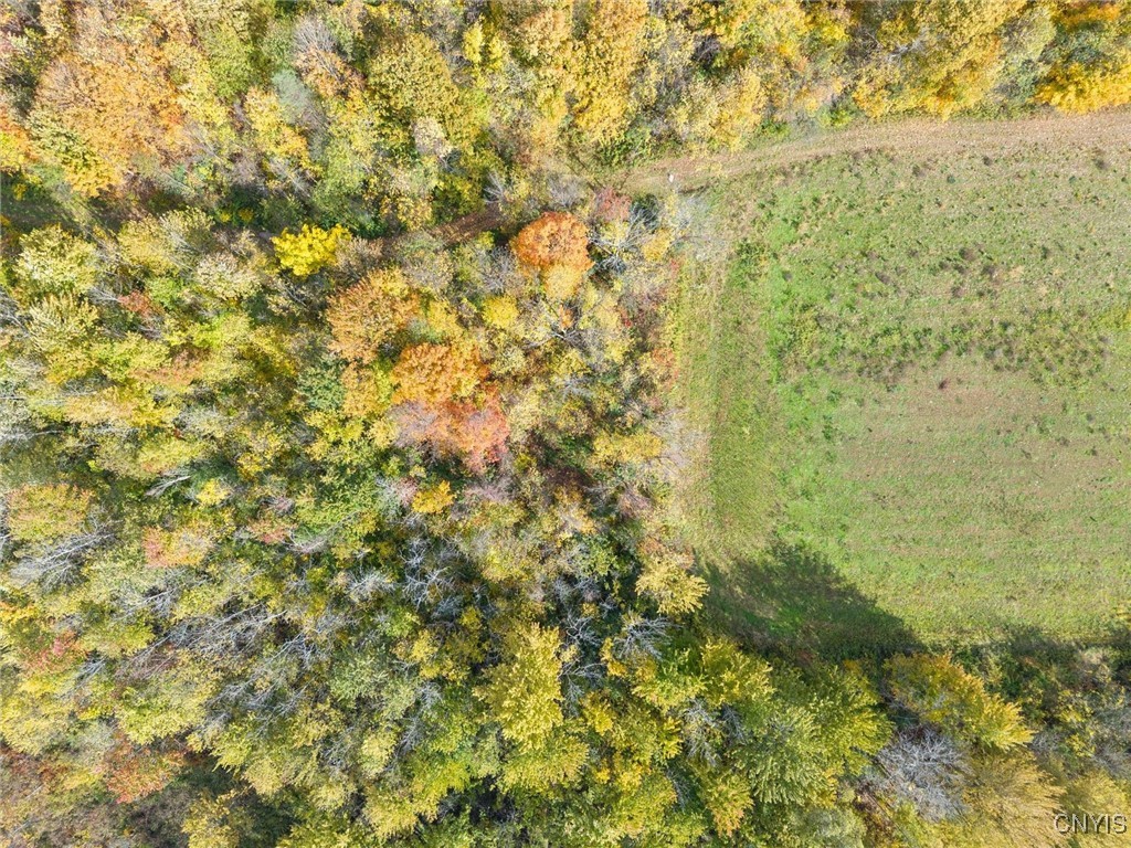 2412 Ira Station Road Ira, NY 13033 - Photo 7 of 13