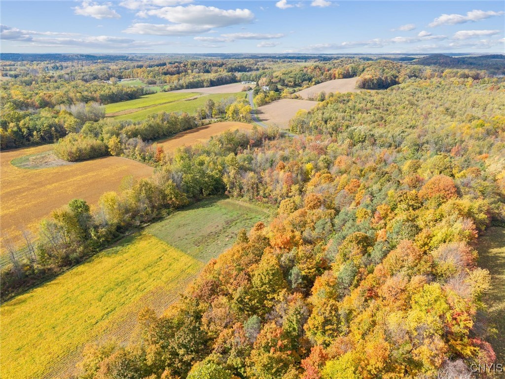 2412 Ira Station Road Ira, NY 13033 - Photo 9 of 13
