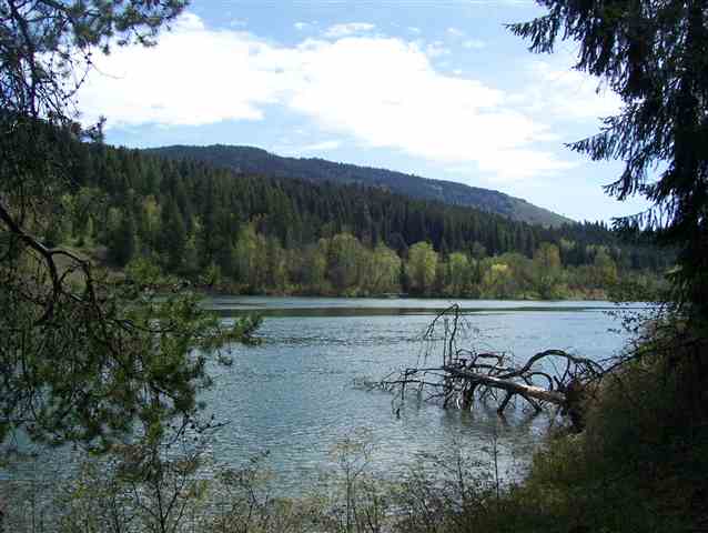 0 Graham Road Cusick, WA 99119 - Photo 3 of 9