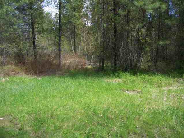 0 Graham Road Cusick, WA 99119 - Photo 5 of 9