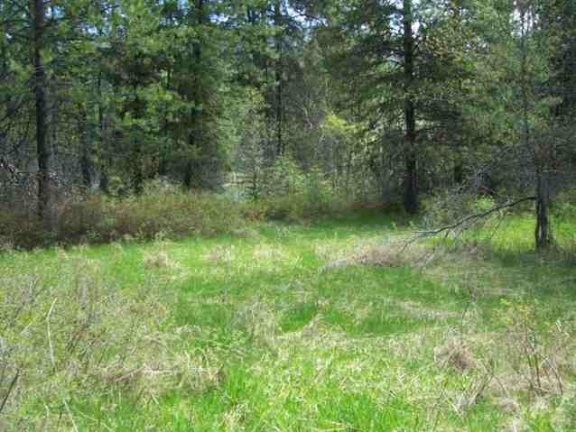 0 Graham Road Cusick, WA 99119 - Photo 7 of 9