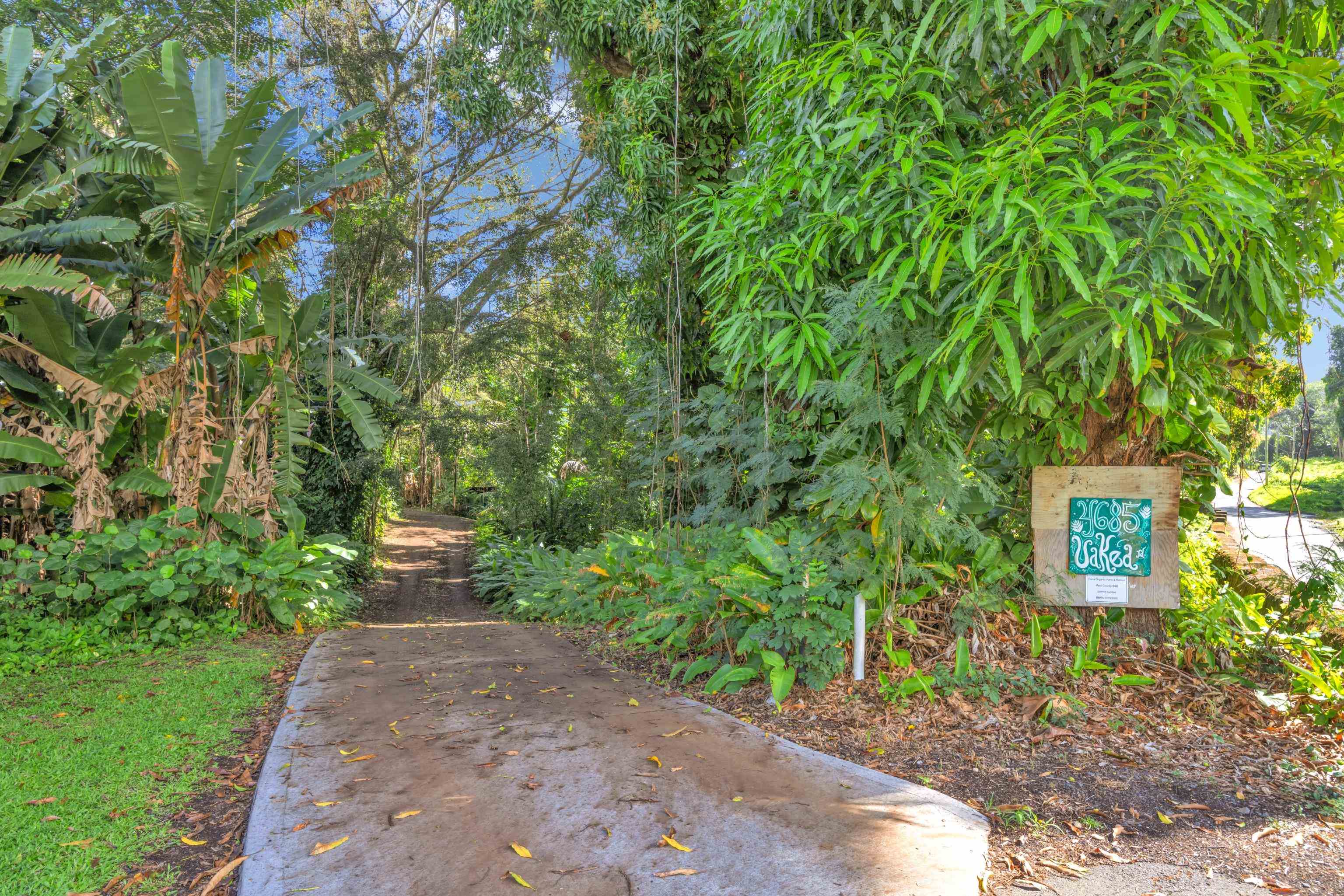 4685 Uakea Road Hana, HI 96713 - Photo 3 of 50