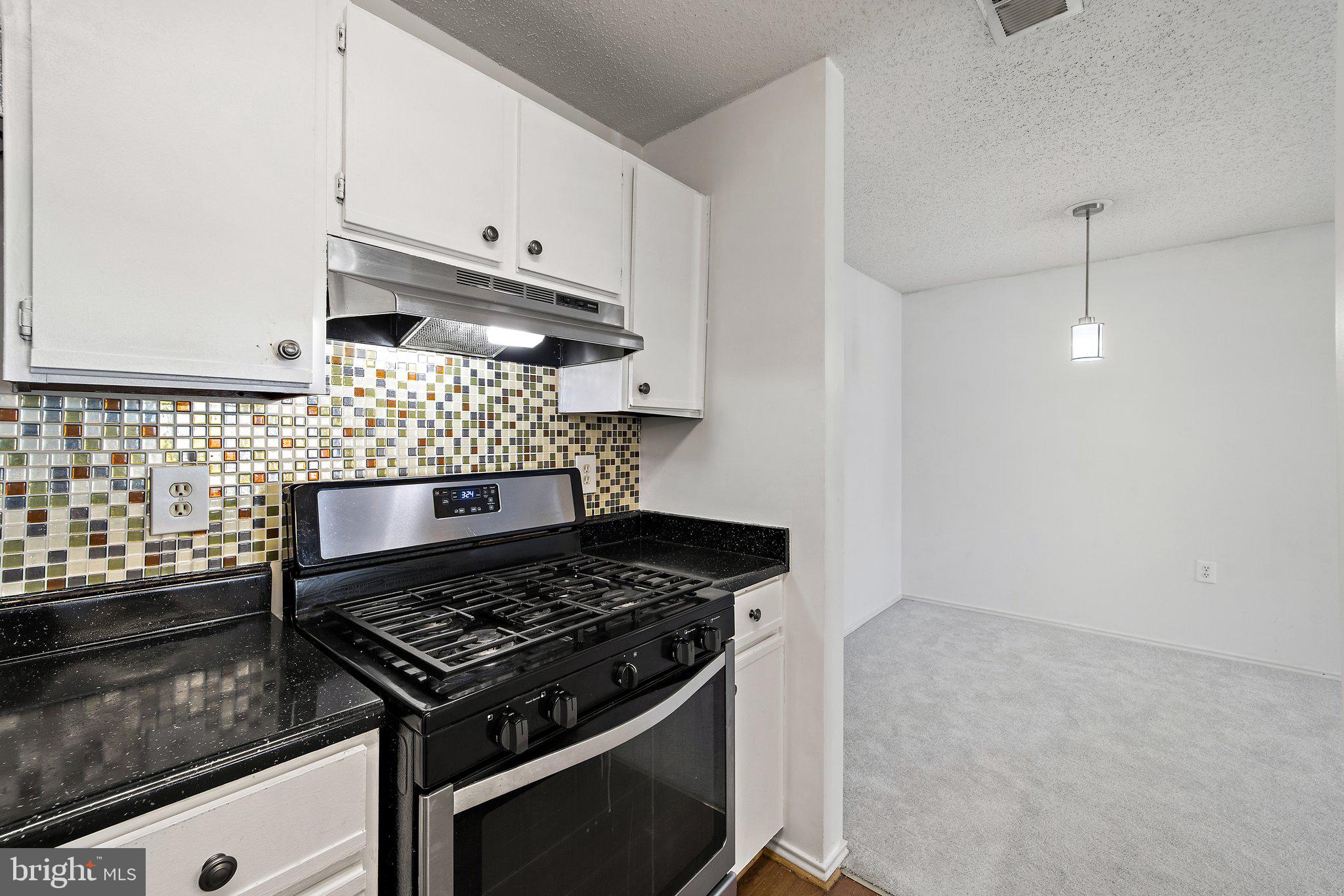 21013 Timber Ridge Terrace, Unit 201 Ashburn, VA 20147 - Photo 17 of 30 Gallery Image 17