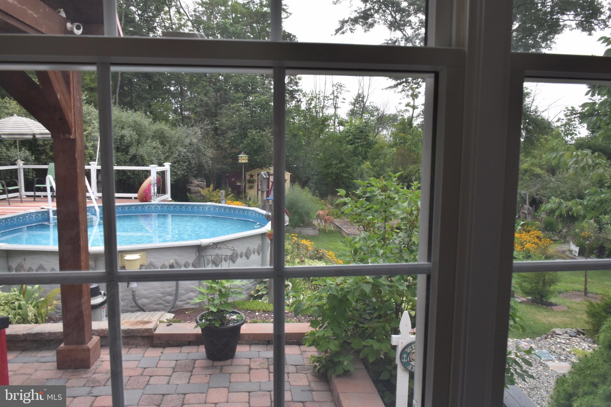 2481 Rosenberry Road Gilbertsville, PA 19525 - Photo 7 of 54 pool view from sun room