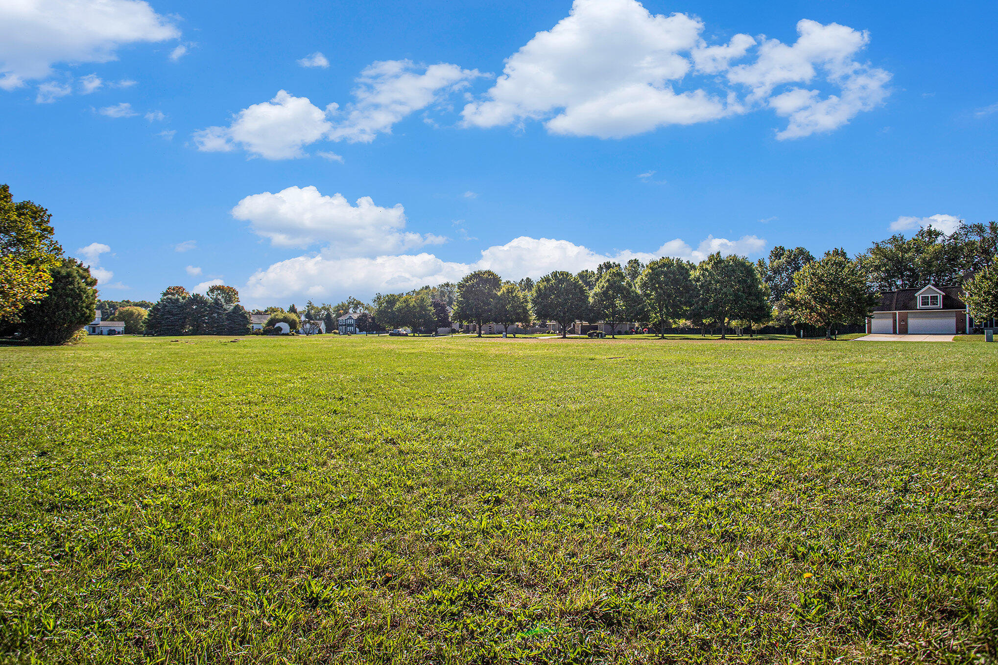 908 Maple Meadows Avenue Vicksburg, MI 49097 - Photo 4 of 10 005__mg_5854_490