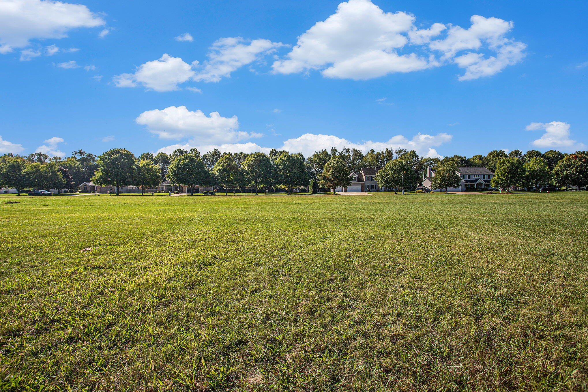 908 Maple Meadows Avenue Vicksburg, MI 49097 - Photo 5 of 10 006__mg_5855_210