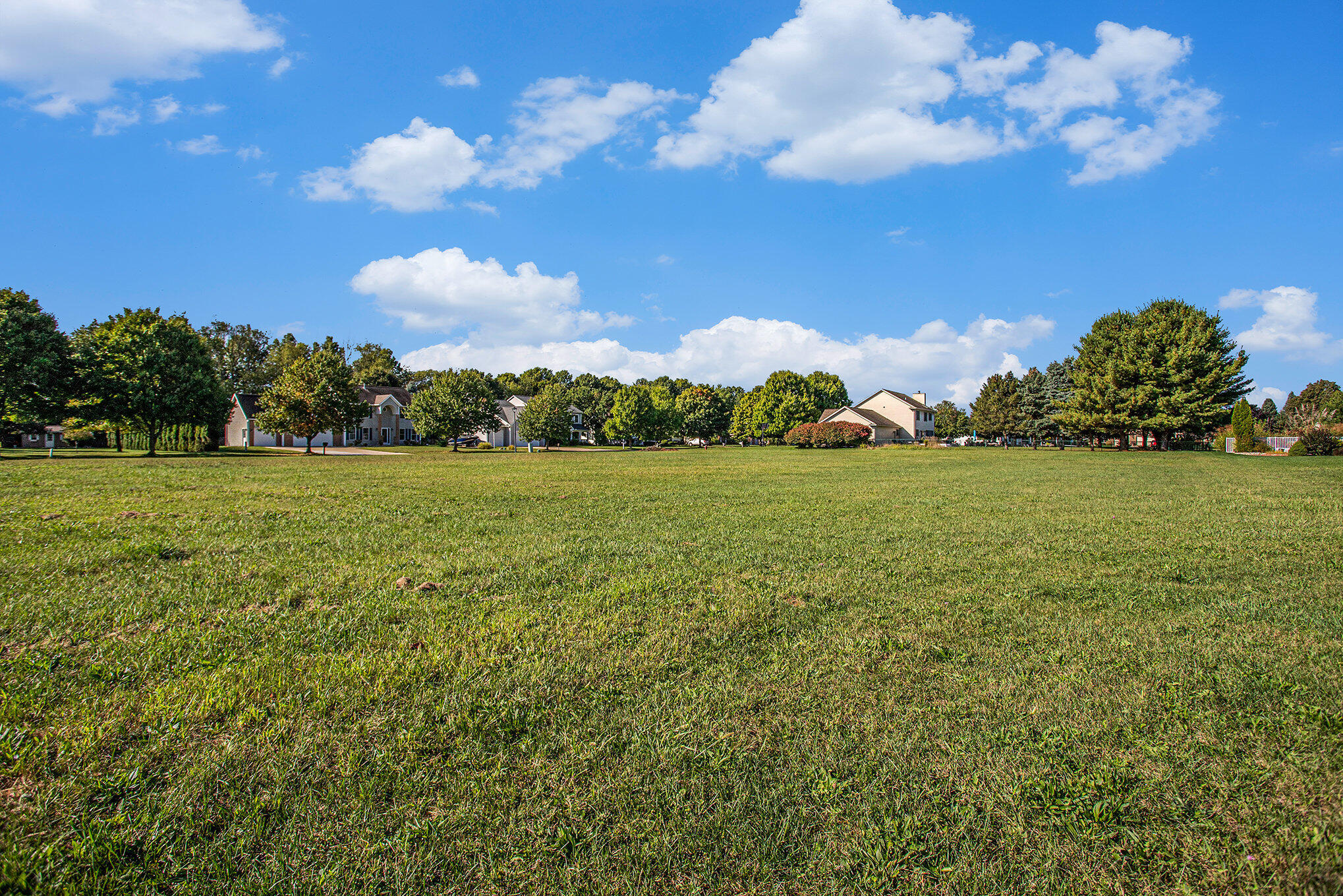 908 Maple Meadows Avenue Vicksburg, MI 49097 - Photo 6 of 10 007__mg_5856_807