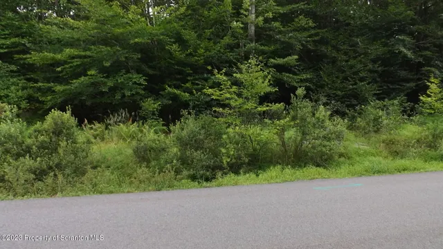 a view of a backyard of a house