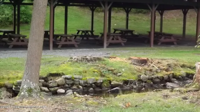 a swimming pool with outdoor seating and plants