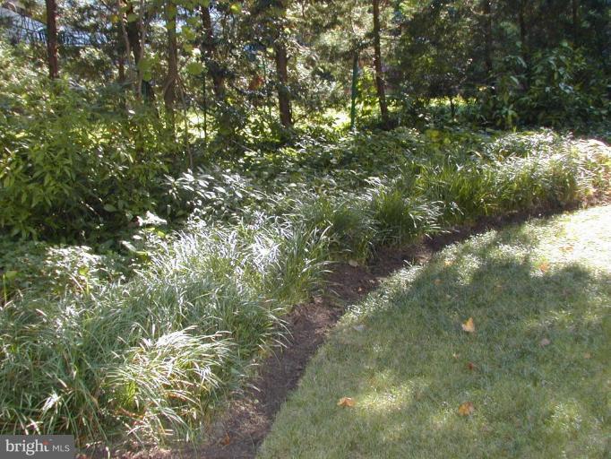 4607 Clemson Road College Park, MD 20740 - Photo 20 of 20 Back yard