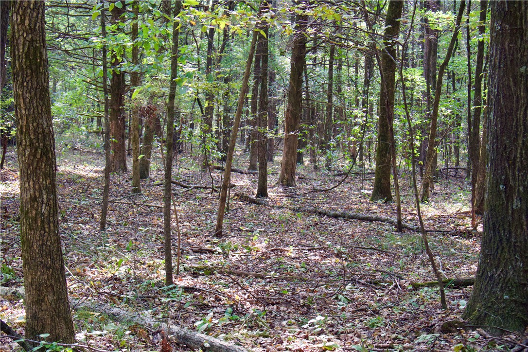 0 Ozark Point Chester, AR 72934 - Photo 24 of 49 Gallery Image 24