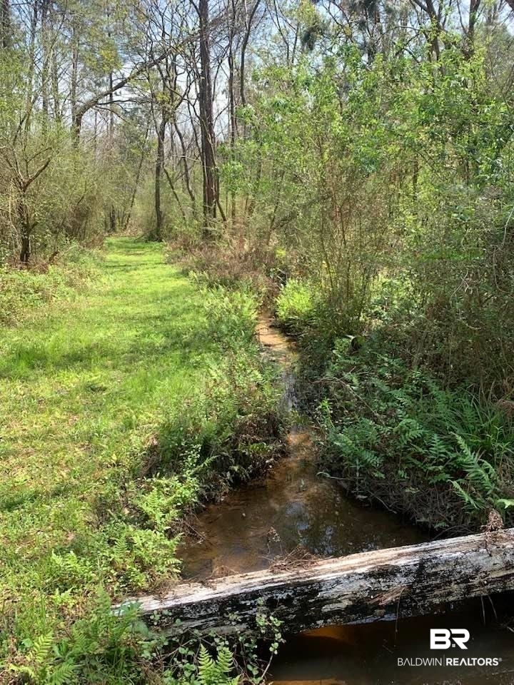 26264 Feely Road Elberta, AL 36530 - Photo 24 of 30 Gallery Image 24