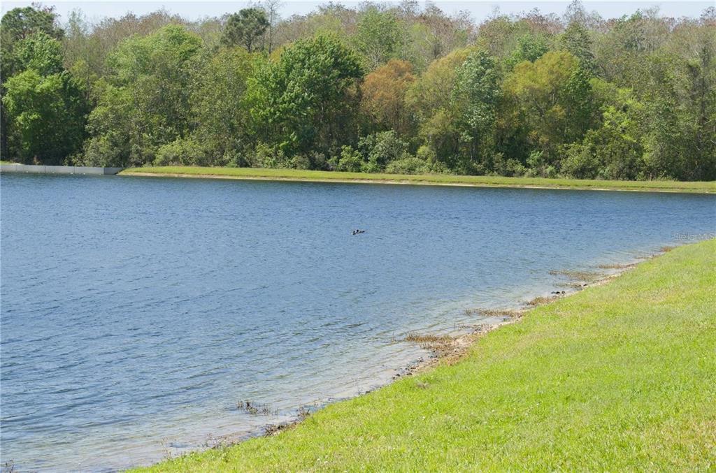 6448 South Goldenrod Road, Unit A Orlando, FL 32822 - Photo 23 of 23