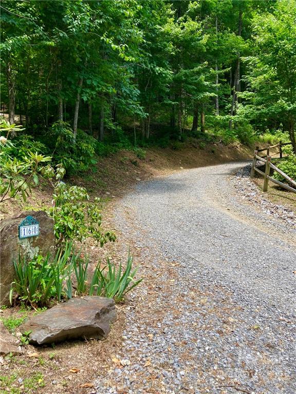 160 Flying Hawk Road Waynesville, NC 28786 - Photo 37 of 45 a view of a road with plants and trees