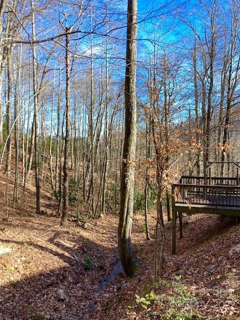 160 Flying Hawk Road Waynesville, NC 28786 - Photo 40 of 45 a view of outdoor space with seating area